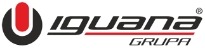 Iguana group logo
